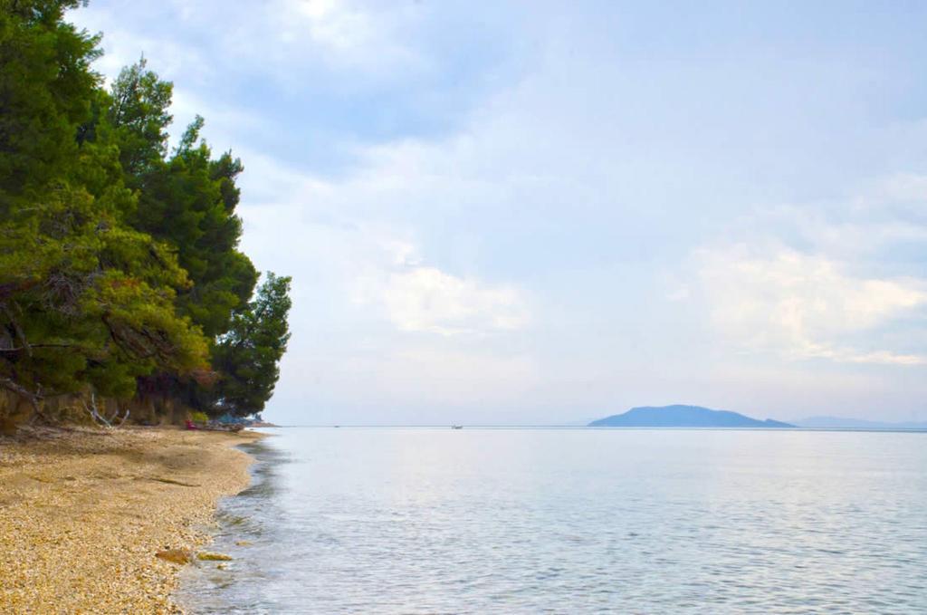 Elia Apartments Sithonia Экстерьер фото